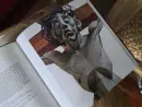 Posvátné umění v nesvaté době. České sakrální uměn - postatne-umeni_10.webp