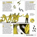 Pozor doktor - pozor-doktor_1.webp