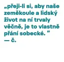 Pracoval jsem mnoho - Soupis výtvarného díla Josefa Čapka (Díl první - Kresba) - pracoval-jsem-1_4.webp