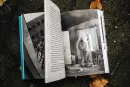 Prašina: Černý merkurit - prasinaII_1.webp