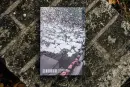 Prašina: Černý merkurit - prasinaII_3.webp