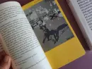 Pravdivé texty (1997–2023) - pravdive-texty_8.webp