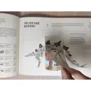 Příběh země. Fosilie – Dinosauři - Pravěk - pribeh-zeme_3.webp