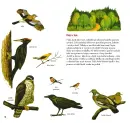 Příroda od jara do zimy - priroda-od-jara_1.webp