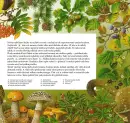 Příroda od jara do zimy - priroda-od-jara_4.webp