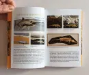 Příručka skutečného paleontologa - prirucka-paleontologa_3.webp