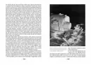 Přistřižená křídla - pristrizena-kridla_2.webp