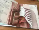 Lidské tělo - prostorová encyklopedie - prostorova-encyklopedie_2.webp