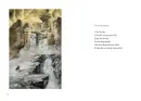 Prstýnek z kopřivy - prstynek_2.webp
