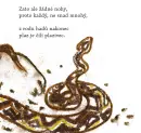 Proč ten ptáček z větve nespadne - ptacek-skacel_1.webp