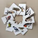 Ptáci - Kapesní atlas - ptaci_1.webp