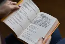 Rajčaťáci a Banáni - rajcataci-banani_2.webp