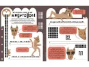 Raketa č. 15 - Detektivní číslo - raketa-15_4.webp