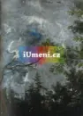 Václav Vavřinec Reiner - reiner_11.webp