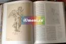 Václav Vavřinec Reiner - reiner_8.webp