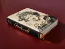 Rembrandt. The Complete Drawings and Etchings - rembrandt-painting_1.webp