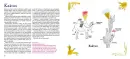 Rostlinopis - rostlinopis_2.webp