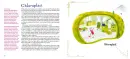 Rostlinopis - rostlinopis_4.webp