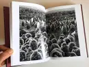 Sebastiao Salgado. Genesis - salgado-genesis_4.webp