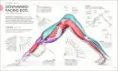 Science of Yoga - science-of-yoga_1.webp