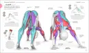 Science of Yoga - science-of-yoga_3.webp