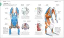 Science of Yoga - science-of-yoga_4.webp