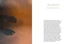 Miloš Šejn, Ani labuť, ani Lůna - sejn-labut_1.webp