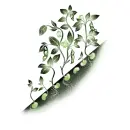 Semínkový detektiv - Odhalování tajných příběhů úžasné zeleniny - seminkovy-detektiv_2.webp