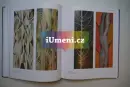 Ester M.-Šimerová - simerova_3.webp
