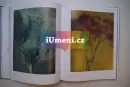 Ester M.-Šimerová - simerova_5.webp