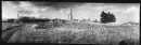 Josef Sudek - Smutná krajina - smutna-krajina_4.webp