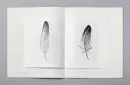 Jiří Straka: Staveniště/Pírka - straka-straveniste_5.webp