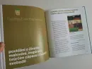Josef Synek - malíř laskavého humoru - synek-blatna_20.webp