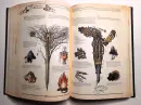 The Book. The Ultimate Guide to Rebuilding a Civilization - the-book_10.webp