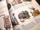 The Book. The Ultimate Guide to Rebuilding a Civilization - the-book_15.webp