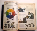 The Book. The Ultimate Guide to Rebuilding a Civilization - the-book_5.webp