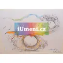 Tiché moře vypráví - Tichomořské pohádky Bláhové Dáši - tiche-more_1.webp