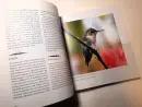 Tisíc tváří Amazonie - tisic-tvari-am_2.webp