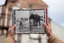 To je Cirkus! - to-je-cirkus_2.webp
