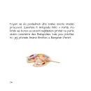 Toyen - Ilustrovaná biografie - toyen-ilustrovana_1.webp