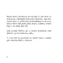 Toyen - Ilustrovaná biografie - toyen-ilustrovana_2.webp
