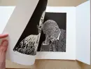 Tváří v tvář | bibliofilie - tvari-v-tvar-biblio_3.webp