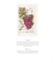 Umění starých herbářů - umeni-herbaru_3.webp