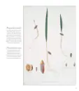 Umění starých herbářů - umeni-herbaru_4.webp