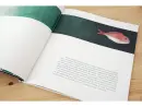 Urašima - urasima_3.webp