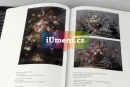 V zahradě Armidině - italské barokní zátiší v Čechách a na Moravě - v-zahrade-armidine_1.webp