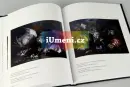 V zahradě Armidině - italské barokní zátiší v Čechách a na Moravě - v-zahrade-armidine_3.webp