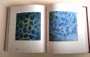 Petr Vaněček - Pomalý pohyb ticha - vanecek_5.webp