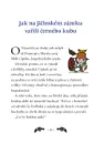 Vánoce u Rumcajsů - vanoce-u-rumcajsu_2.webp