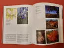 Vcházení do obrazů a fotografií - vchazeni-do-obrazu-vse_4.webp